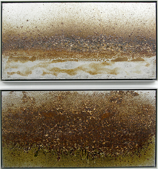„Oxidationen“ 25 x 50 cm, gerahmt, jeweils
650 €