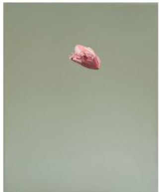 O.T. (POPCORN), 2019, 30 x 24 cm, Öl auf Leinwand, Leinwand, 1100€