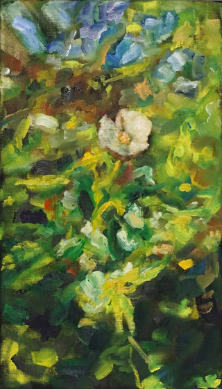 "Wildrose", Öl / Leinwand, 29x50cm, 980€